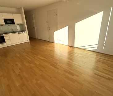 Kopernikusgasse! Haus des Meeres! Top-moderne 2-Zimmer-Neubauwohnung - Photo 6