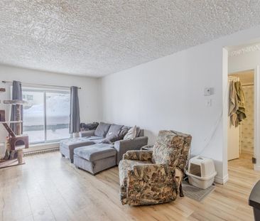 Cardinal-Villeneuve Appartement 3 ½ à Louer Limoilou Juillet 2025 - Photo 3