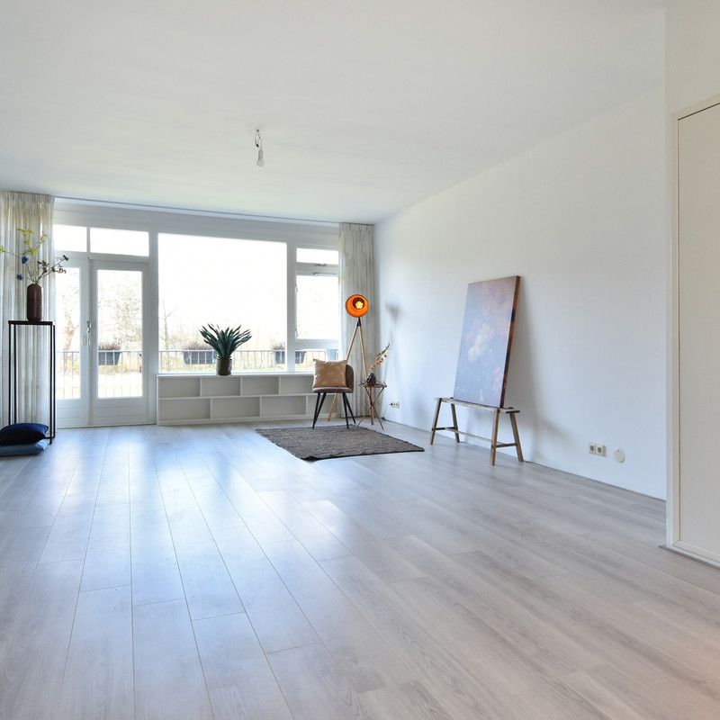 De Savornin Lohmanlaan 91 - Photo 1