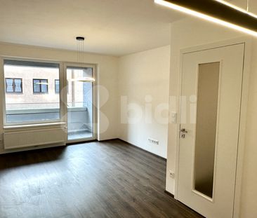 Pronájem bytu 2+kk 48 m², Smilova, Pardubice - Fotografie 1