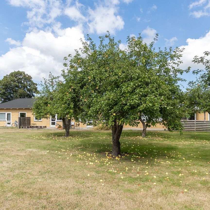 1-værelses Lejlighed på 37 m² i Agedrup - Photo 1