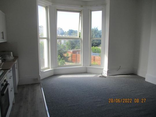 Mount Pleasant Road, Hastings - Photo 1