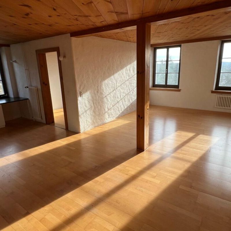 Wohnen im Haus zum Alpenblick - charmante 4.5-Zimmer-Wohnung mit Terrasse - Photo 1