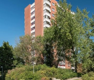 Votre recherche de logement s’arrête là - Photo 3