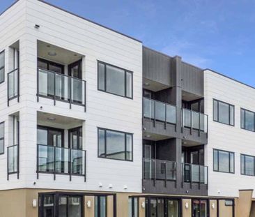 Sandringham Studio Apartment - Photo 4