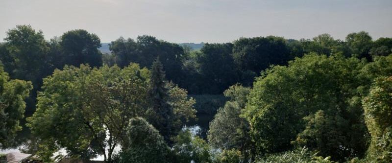 3-Zi-Whg. mit Tageslichtbad und Balkon - Photo 1