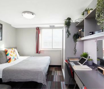 Superior Double Studio - Photo 2