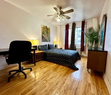 5060 Rue Parthenais, app.4, H2H 2A3, H2H 2A3, Montréal - Photo 5