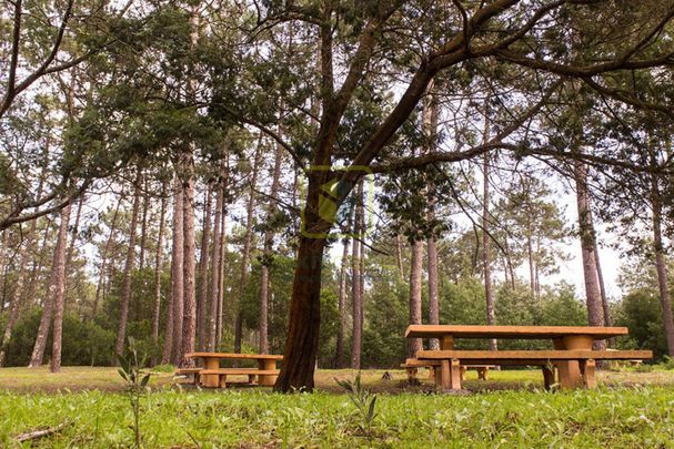 Apartamento T2 em Aveiro - Photo 1