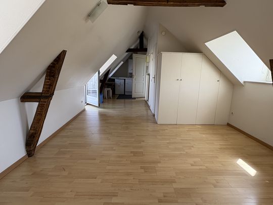 STUDIO DE 21 M2 AVEC TERRASSE Comprenant Séjour coin cuisine ... - Photo 1
