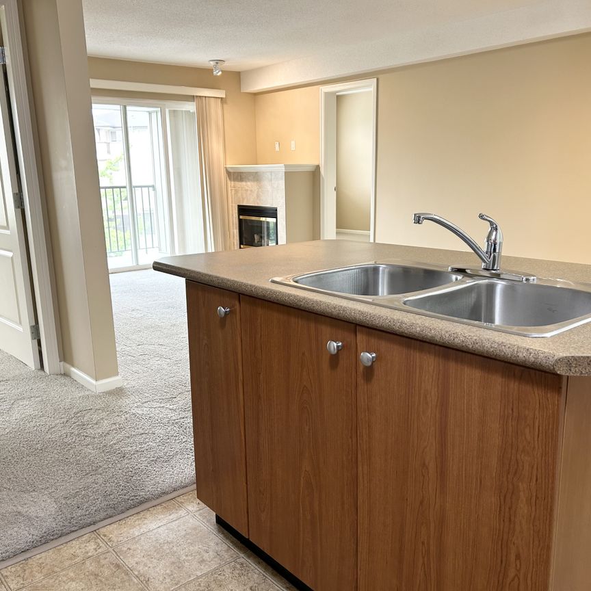 CHATEAU GRACE - 103 - CG103 - Photo 1