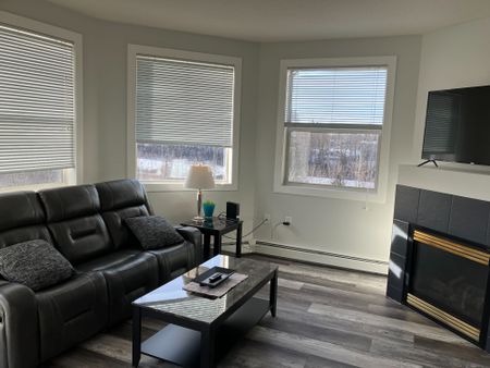 304, 5211 39 Street, Red Deer, AB **furnished - Photo 3
