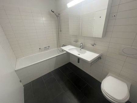 MODERN WOHNUNG AN FAMILIENFREUNDLICHER LAGE IN HUNZENSCHWIL - Photo 4