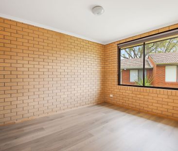 Your Perfect Blend of Comfort, Simplicity, and Location - Photo 2