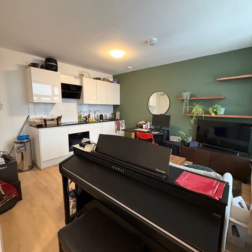 Tuinbouwstraat, Noorderplantsoenbuurt, Oranjewijk, Oude wijken, Groningen, Nederland, 9717 JJ, Nederland - Foto 1