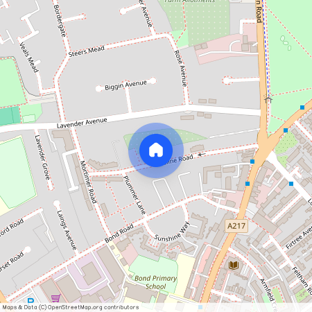 Eveline Road, Mitcham CR4