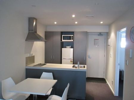 Modern Two Bedroom Apartment - Photo 4