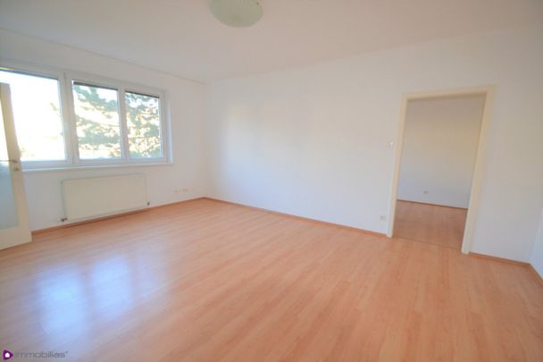 Ein Katzensprung zur U2 und zum Mühlwasser! - Foto 1