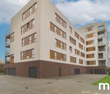 Stijlvol appartement te huur aan de Leie - Foto 3