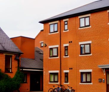 Halls F: Standard Ensuite Rooms - Photo 4