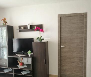 Benidorm Rincon de Loix - Photo 5