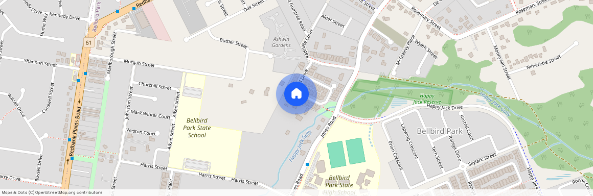 36 Riverlily Crescent, Qld 4300, Bellbird Park