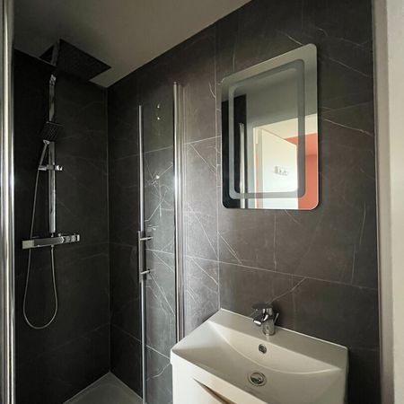 Location Appartement 1 pièce 16m² - Photo 3