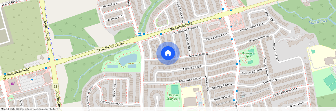 128 Mintwood Road Unit# Lower, Vaughan