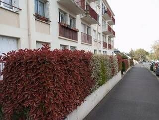 appartement proche écoles/université - Photo 2