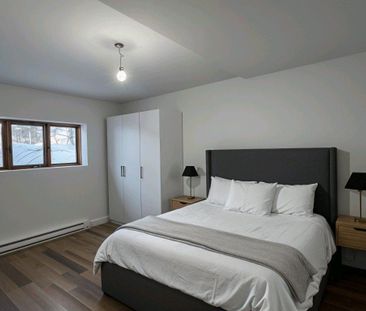 Grand 3 1/2, Rénové/Renovated, Ensoleillé/Sunny a Louer/For Rent - Photo 2