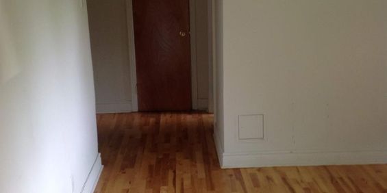 1 CH - 1 SDB - Montréal - $1,250 /mo - Photo 3