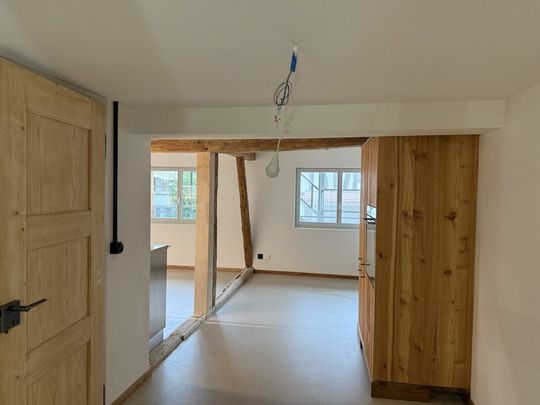 Lumière naturelle et style combinés - première location dans un immeuble ancien - Photo 1