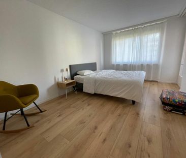 moderne 2.5 Zimmer-Wohnung zu vermieten - Foto 1