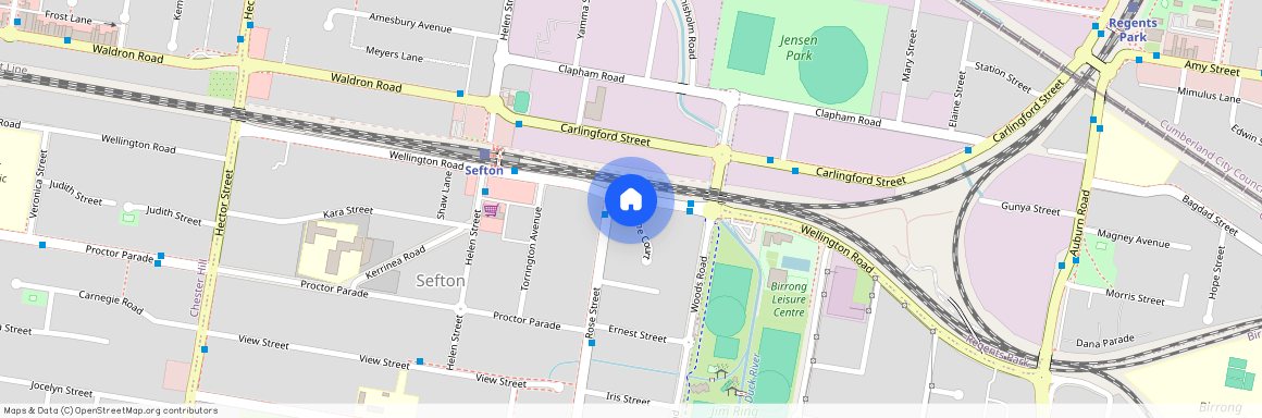 103A Wellington Rd, NSW 2162, Sefton