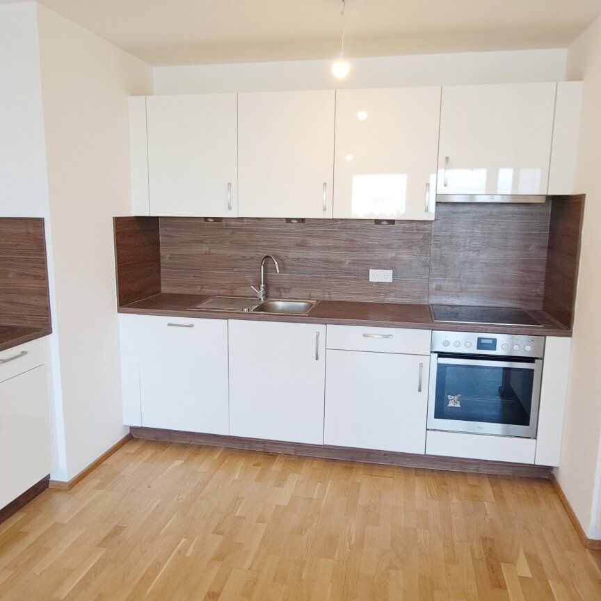 Großzügige 2-Zimmer Wohnung mit Donaublick - Foto 1