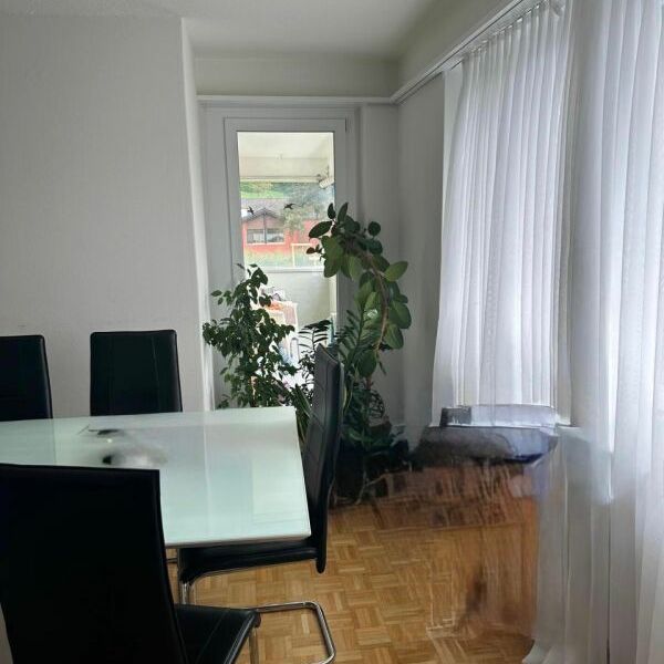 3.5-Zimmerwohnung im Erdgeschoss - Oberackerstrasse 4, 5113 Holderbank - Foto 1