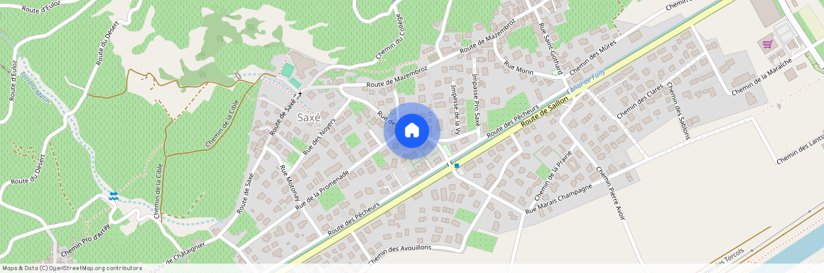 1926, Fully, Rue Des Amis, 21