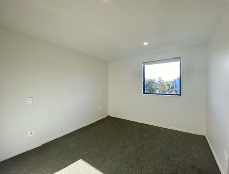 2/236 Salisbury Street, Central City, Christchurch - Photo 4