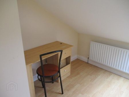 Great Location, 21 Palestine Street, Queens Quarter, Belfast, BT7 1QJ - Photo 4