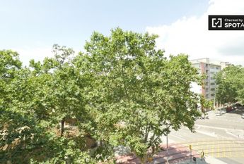 barcelona, Catalonia 08005