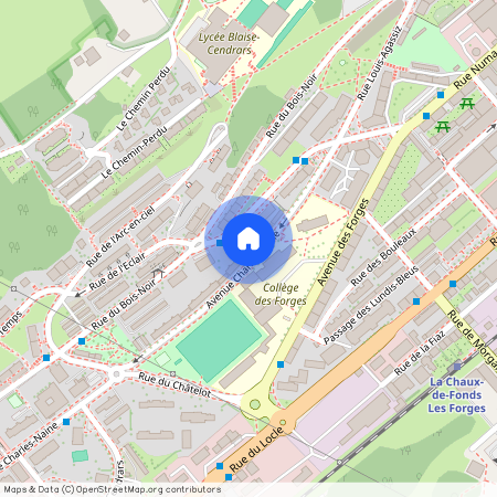 2300, La Chaux-de-Fonds, Avenue Charles-Naine, 12