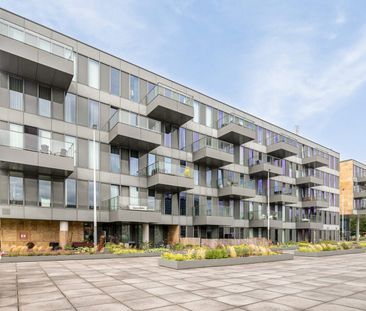 Grenenhout 8-123 - Photo 3