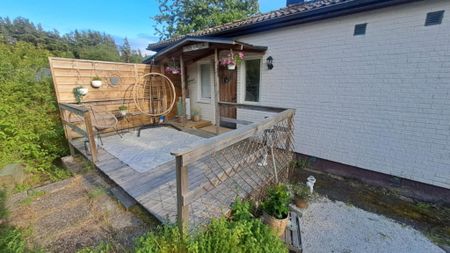 Timmergata, Kolmården - Photo 5