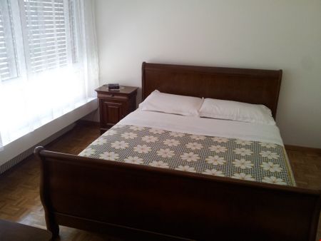 Appartamento di 2 locali a Massagno - Foto 5