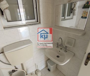 Διαμέρισμα για ενοικίαση Χρυσομαλλούσα (Λέσβος - Μυτιλήνη) - Φωτογραφία 5