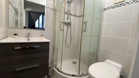 Location Appartement 1 pièce Meublé 13m² NANTES 44000 - Photo 5