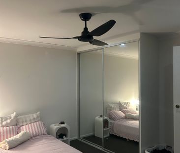 Nerang - Photo 1