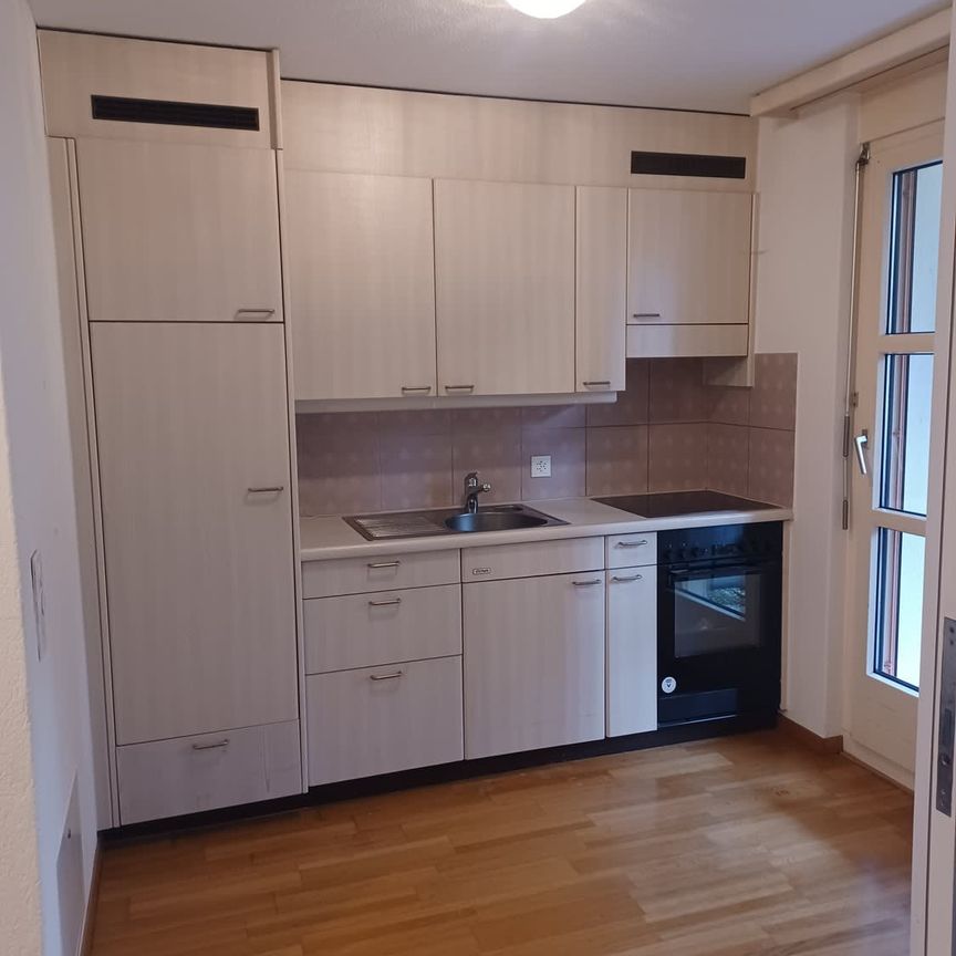 2.5 Zimmer, EG - Photo 1