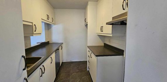 Grand 4 1/2 rénové à Sainte-Julie - Disponible 1er juillet 2026 - Photo 2