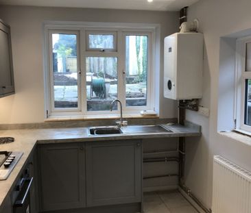 Rose Lane - Photo 4